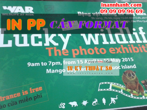 In PP cán format làm bảng giới thiệu triển lãm ảnh 'động vật hoang dã may mắn', 30, Minh Tam, InanNhanh.com, 20/10/2015 14:05:16